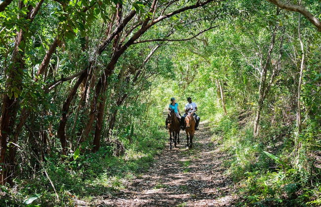 La Vieille Cheminee - Photo 46