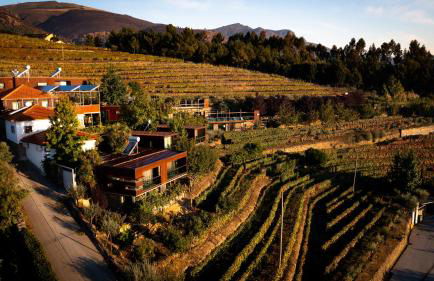 Vila Marim Country Houses - Photo 55