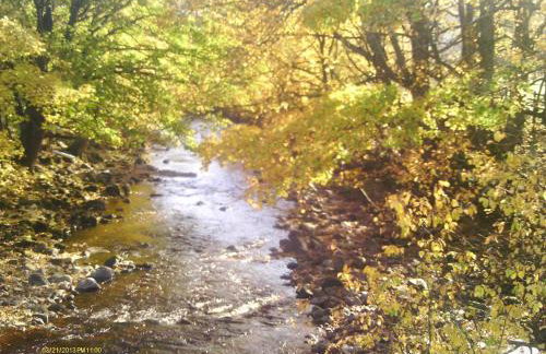 7 Front Street - Foto 8