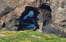 Casiña de Érika - Foto 28