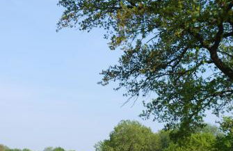 Ferienwohnung im Grünen - Hof Blohme - Foto 34