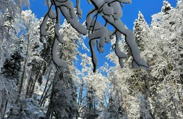 Landhaus Eibelesee - Foto 62