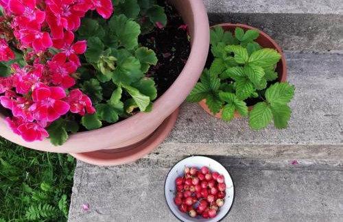 Stara Stolarnia - Foto 39