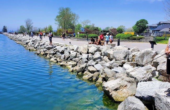 Park Bungalow #4 - Seacliff Beach Suites - Foto 20