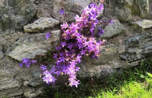 Petite Maison Gaspard - Foto 51
