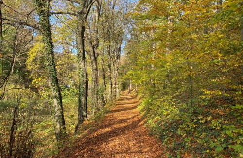 Refugium am Schlossberg in der Burgstadt Ranis - Foto 37