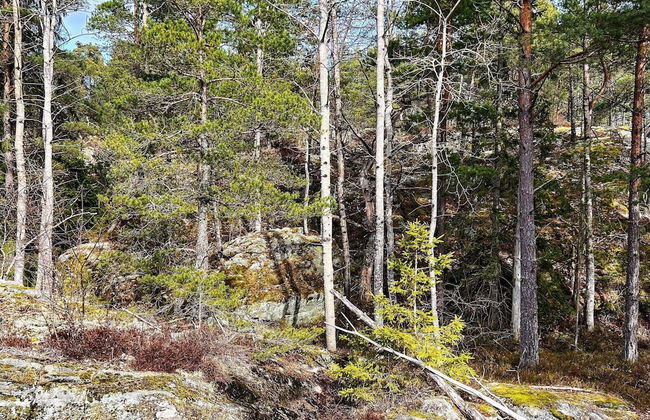 6 Person Holiday Home in Tyreso-by Traum - Photo 19