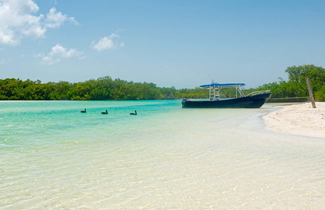 Tour in Lázaro Cárdenas - Photo 1