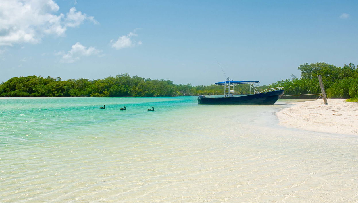 Tour in Lázaro Cárdenas - Photo 1