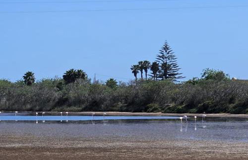 Villa Rosa con accesso sul mare - Foto 38