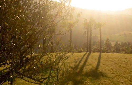 Apartamentos turísticos en la naturaleza - Foto 9