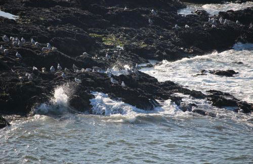 Matosinhos -Seas Apartment- Cabo das Marés - Foto 70