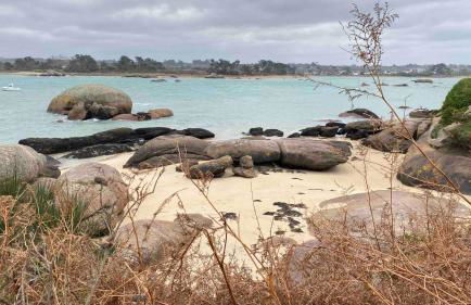 Résidence des 3 îles, en plein centre-ville, à 5 min des plages, 3 appartements neufs - Foto 70