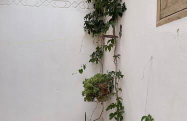 Apartamentos La Vida de Antes - Foto 11