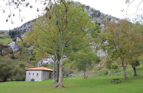 Apartamentos La Plazuela - Foto 39