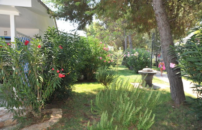 Villaggio Le Orchidee - Foto 46