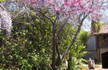 Locazione Turistica Casa in Campagna - Foto 33