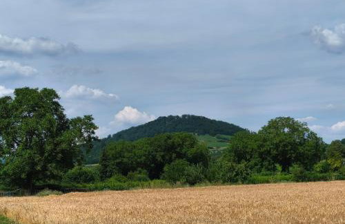 FeWo Sartorius am Hemsberg - Foto 45