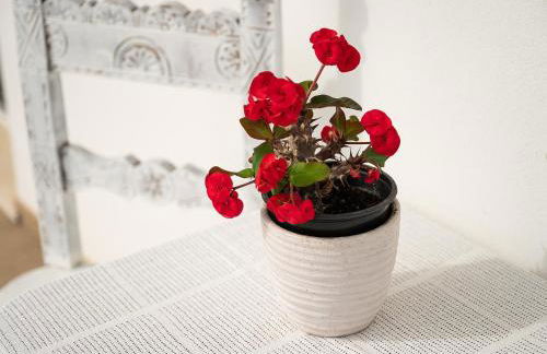 Casa Giovele - Foto 12