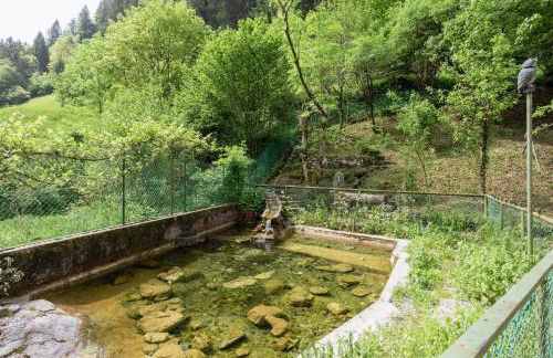 La Casa di Luisa, Un tuffo nel verde! - Foto 13