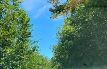 Ca’ Alba - Photo 12