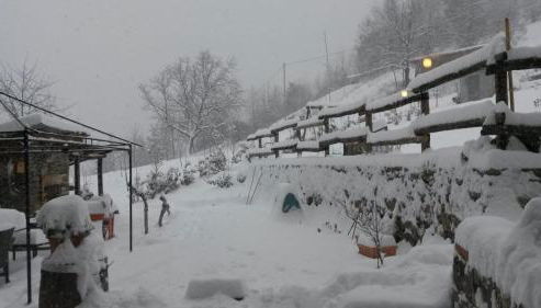 Il noce e la strega - Foto 4