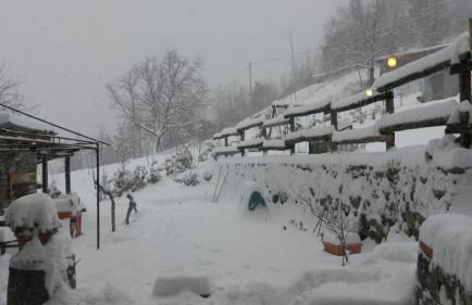 Il noce e la strega - Foto 4