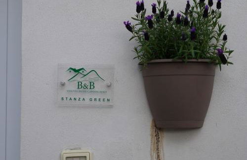 Vesuvio Home Capodichino Blu - Photo 47