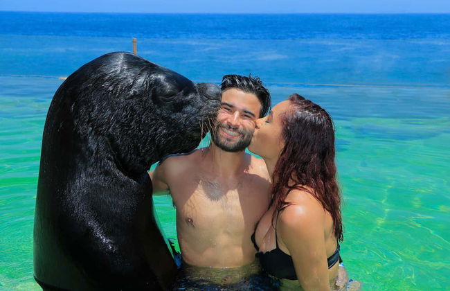 Activités aquatiques dans la Baie de Banderas - Photo 6