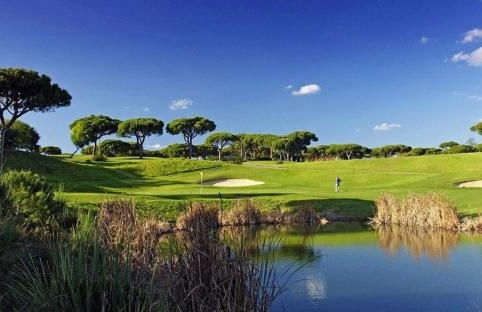 Sunny Lounge Apartment - Photo 20