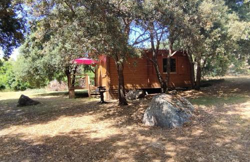 chalets bois 150m de la plage - Foto 27