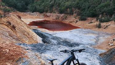 Casa Armonia - Elba Affitti - Foto 4