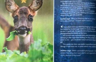 Lincoln Holiday Retreat Little House with private hot tub - Foto 49