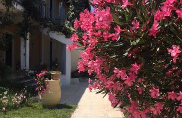 Petros Studios - Foto 13