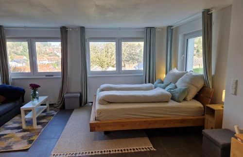 Modernes Studio im Geo-Naturpark Bergstrasse-Odenwald - Foto 11