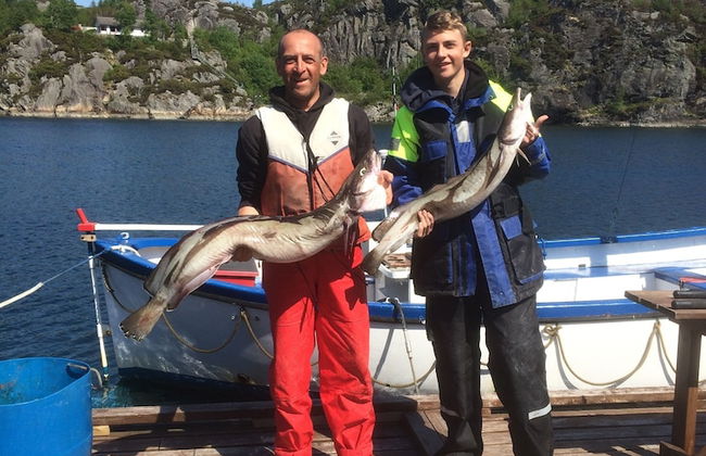 Sotra Rorbusenter - Foto 57