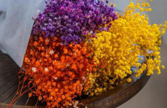 Viroga Suite Apartments - Foto 67