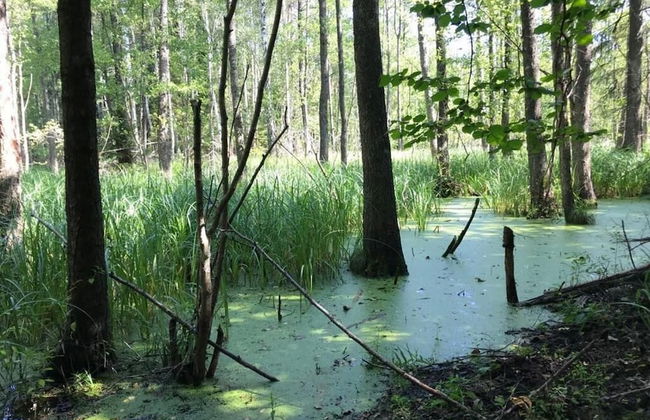 Folwark Mazurskie Legendy - Foto 63