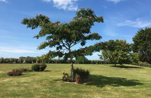 Gites Bellevue - Foto 11