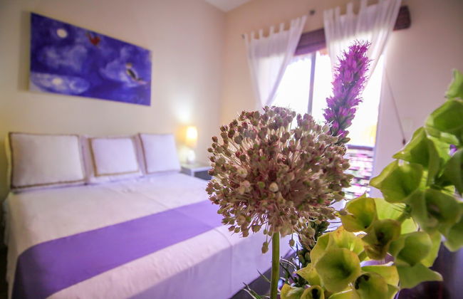 Villas Geminis Boutique Condo Hotel - Photo 78