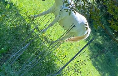 Gite Cosmos - Foto 24