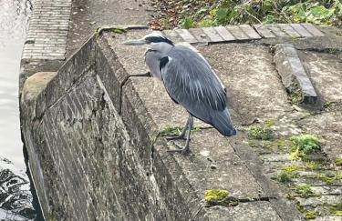 Cosy Canal Boat in Little Venice for Family & Friends - Photo 14