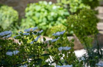 Mas des Cèdres - Photo 38