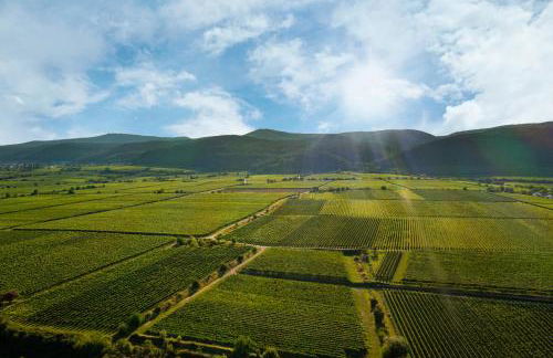 Deidesheimer Haus - Foto 25