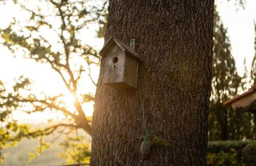 Borghetto Il Poggiolo Mugello - Affitti Brevi Italia - Foto 19