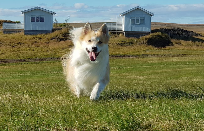 Beindalsholt - Foto 7