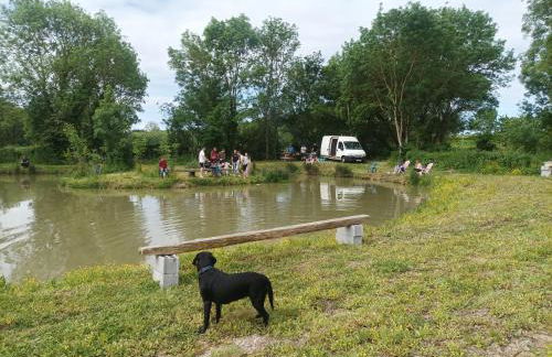 les gîtes du péré - Foto 9