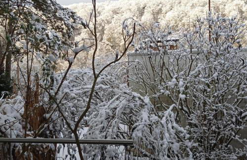 Paradiesgarten am Saaleufer - Foto 13