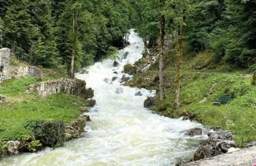 Appartement cosy Lons - Montmorot - Foto 28