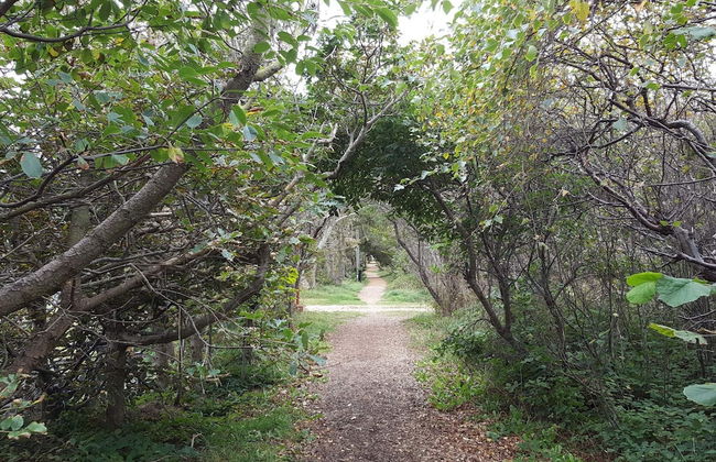 Surf Paradise in Klitmoller - By Traum Ferienwohnungen - Foto 6